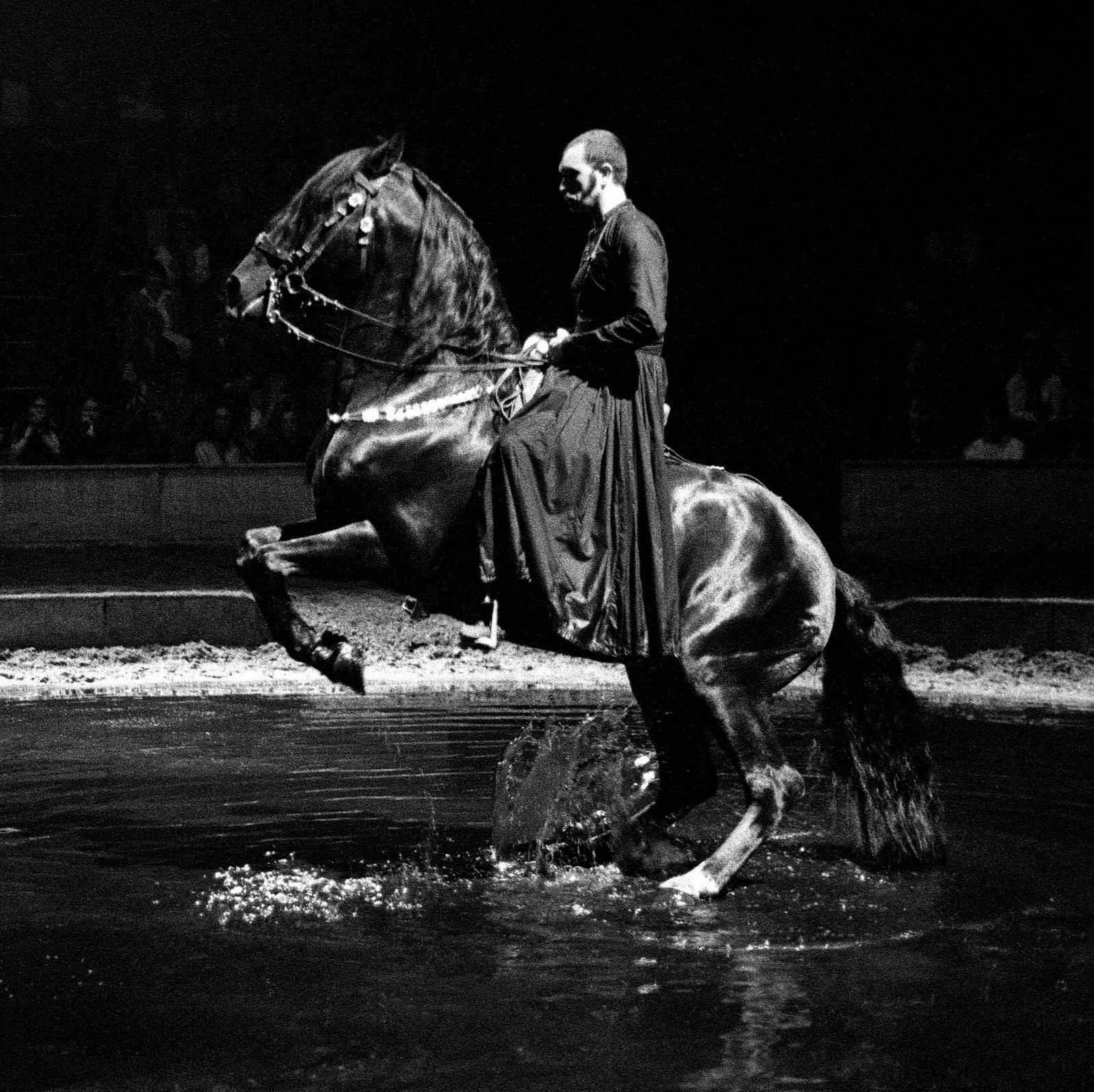 Quixote dans le spectacle Chimère