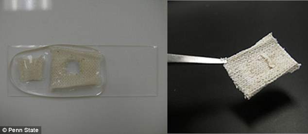 prototype du tissu autoréparateur de l’université de Pennsylvanie