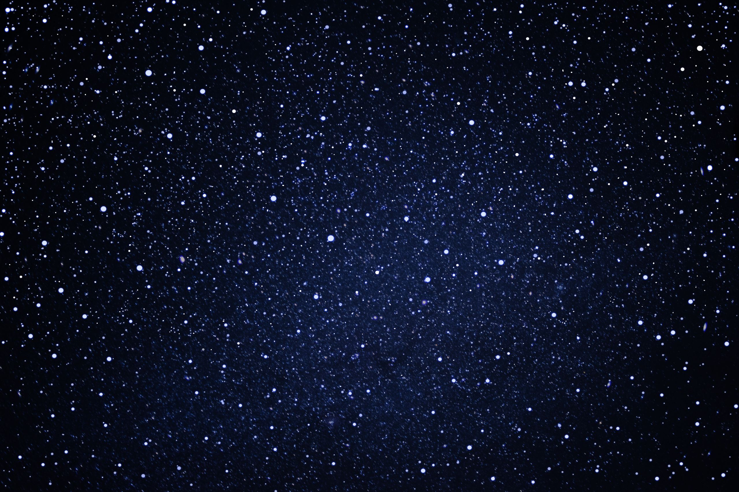 Credit: Shutterstock