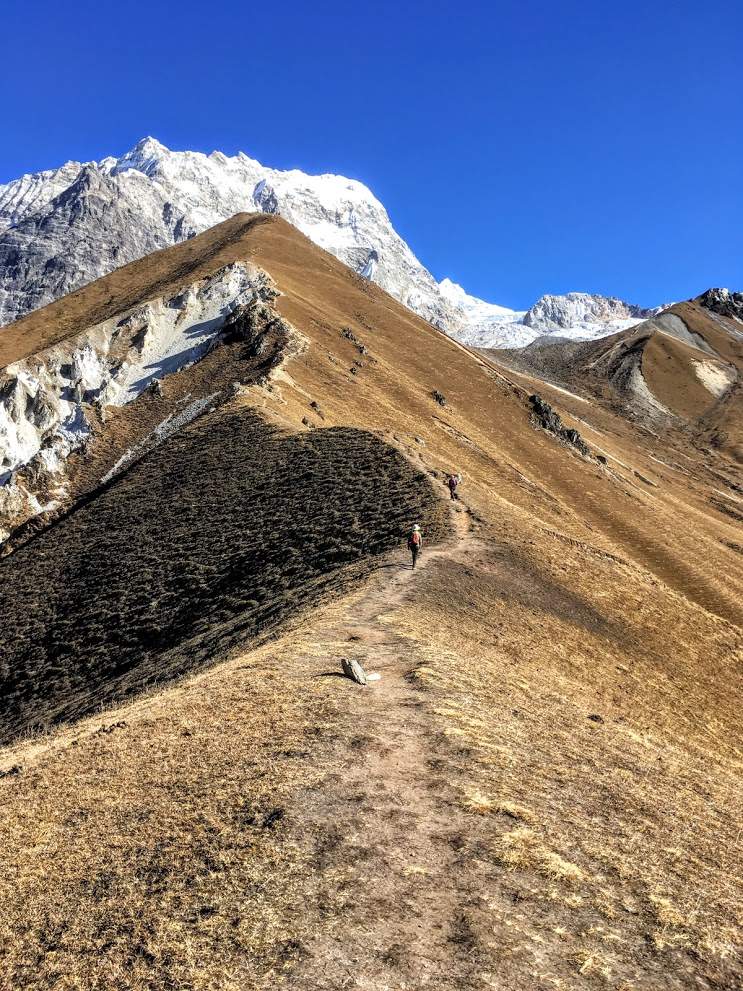 L'escalade du Ganjyin RI (4400m) et du Tsergo Ri (5000m)&amp;nbsp;sont les plus célèbres de ces promenades en altitude.