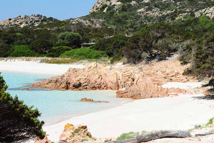 La Plage rose