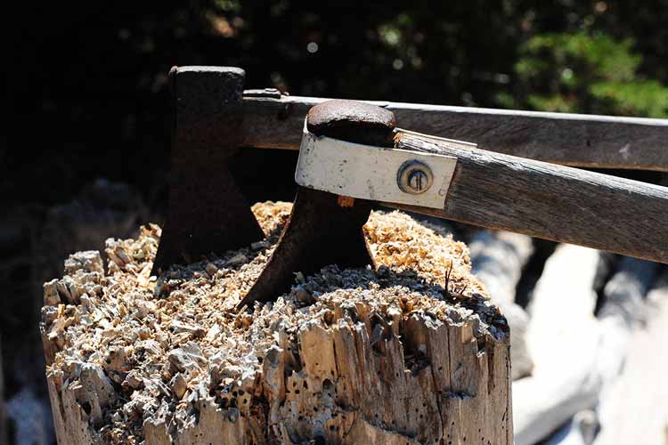 Les outils de survie