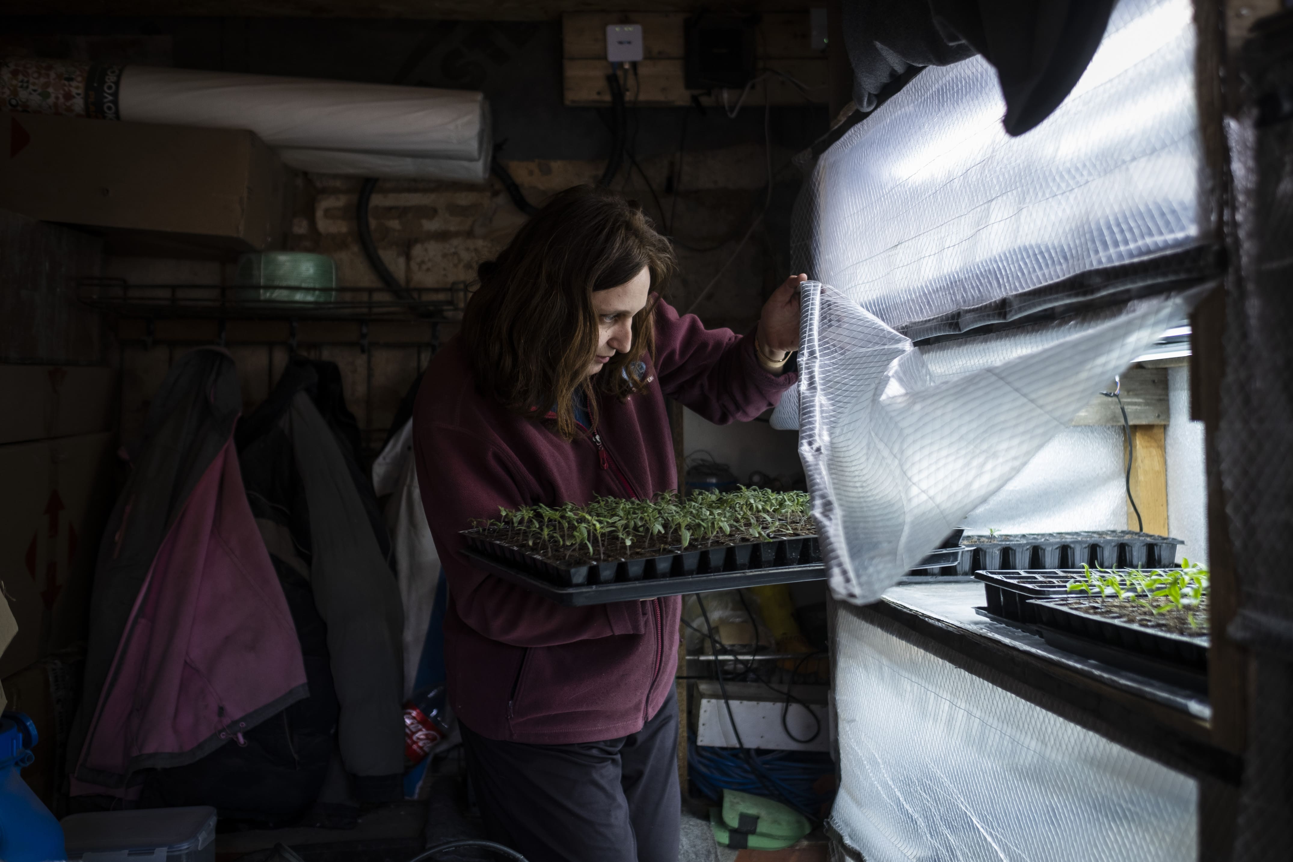 Liudmila fait pousser des graines de tomates et d'aubergines dans sa serre avant de les planter dans ses champs, le 16 mars 2026. 
