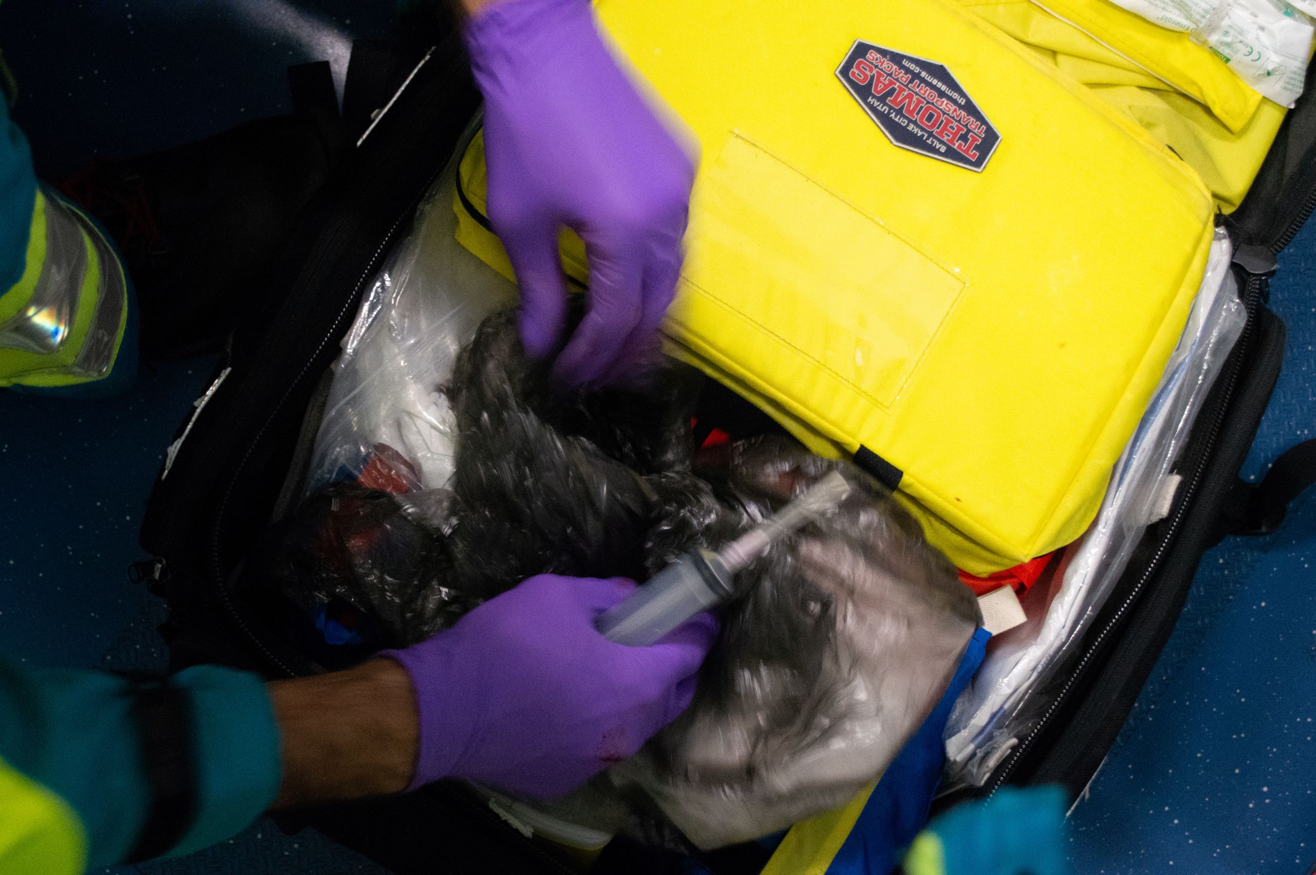 Dans l'ambulance, les soins continuent. 
